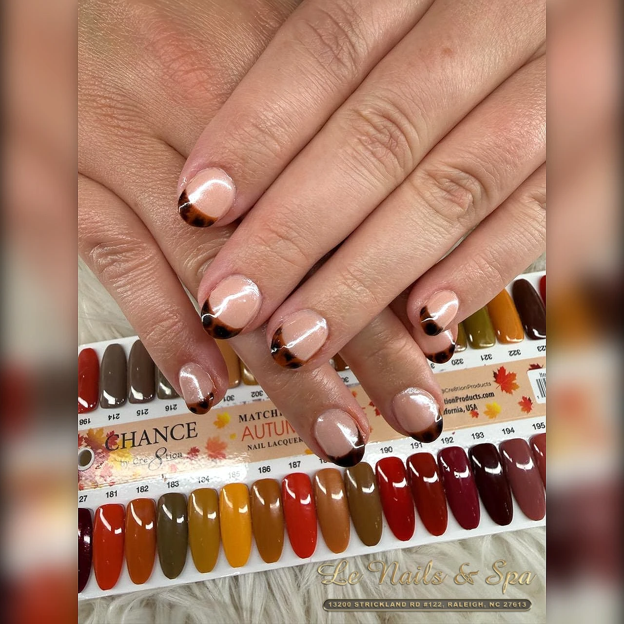Nail Art Design